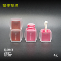 ZM618B